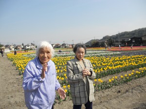 チューリップが満開！天気が良くて気持ちいいね